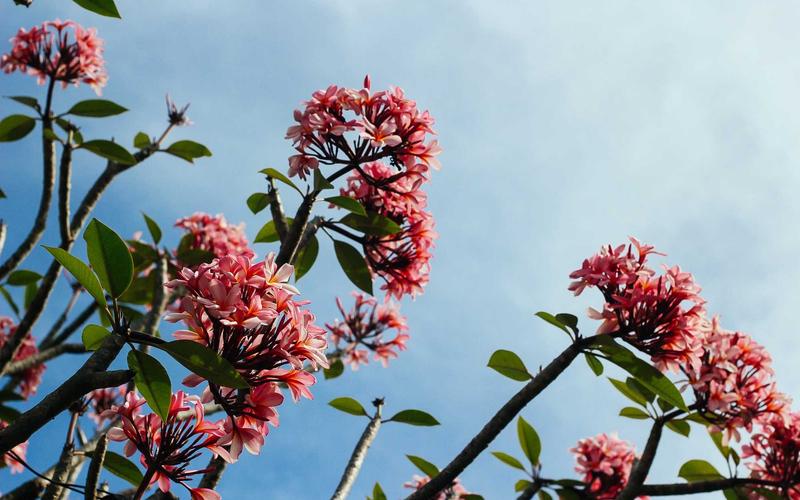 Happy, healthy woman enjoying the outdoors